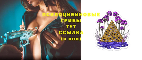 каннабис Новозыбков