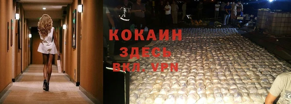 каннабис Новозыбков