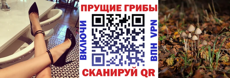 Псилоцибиновые грибы ЛСД  Цоци-Юрт 